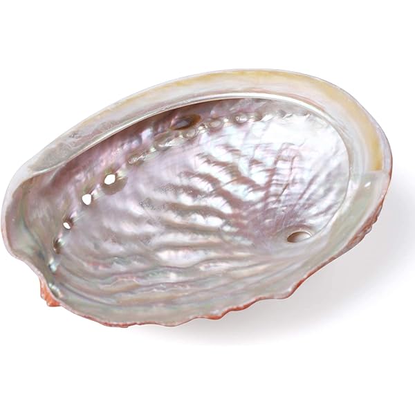 ローズクォーツシェルお皿♡貝♡デンドリ入りNo70 シェル トレイ お盆 楕円 ゴールド ホワイト 2色 40×30cm 大 トレー